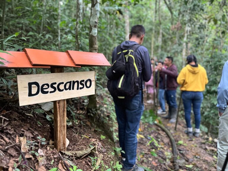 Actividad física al aire libre
